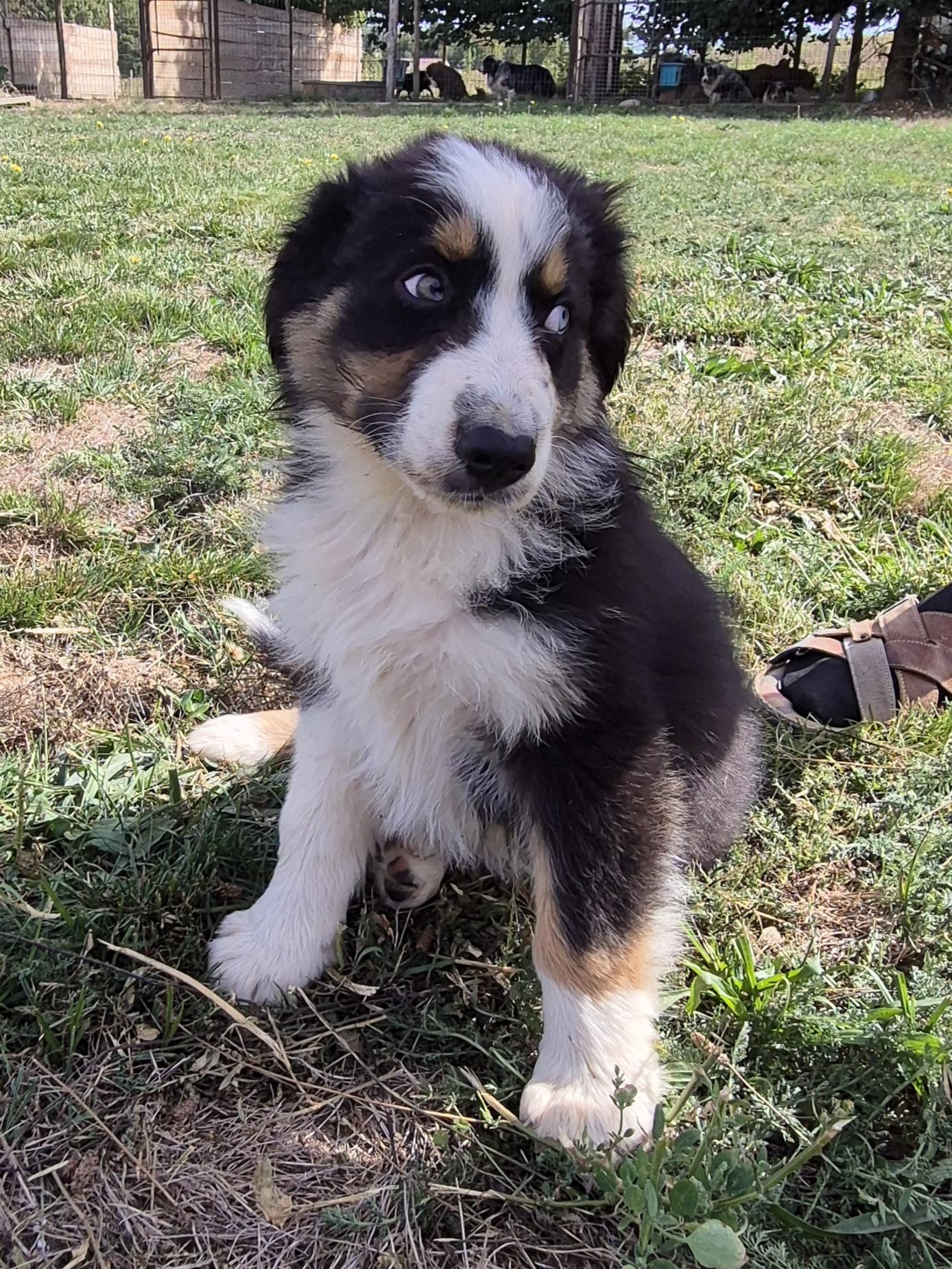 1000127027
