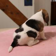 Img 0348