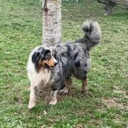 Img 20230114 wa0001 1