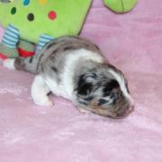 Img 464901