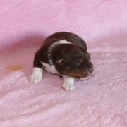 Img 465901