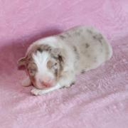 Img 466201