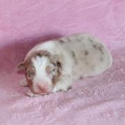 Img 466301