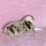Img 466402