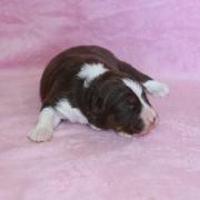 Img 468602