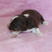Img 468701