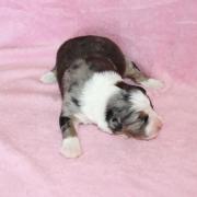 Img 469601