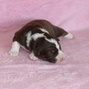 Img 470301