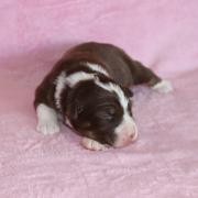 Img 470801