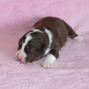 Img 470901