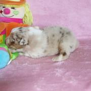 Img 557501