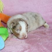 Img 557901