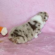 Img 558101