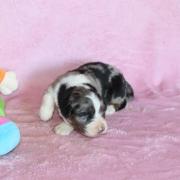 Img 561701
