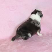 Img 565301