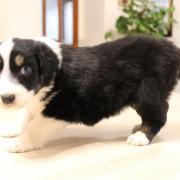 Img 7738