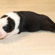 Img 7767
