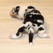 Img 7788