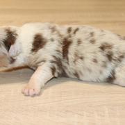 Img 7795