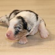 Img 7831
