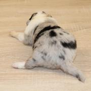 Img 9401