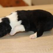 Img 9471