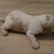 Img 9914 copie