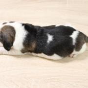 Img 9922