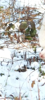 p1010407.jpg