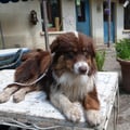 P1230179