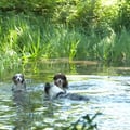 P1240964 2