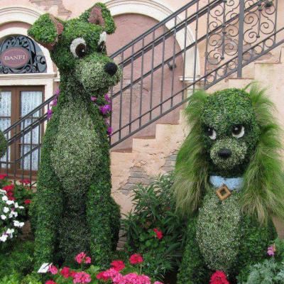 Verdure chiens